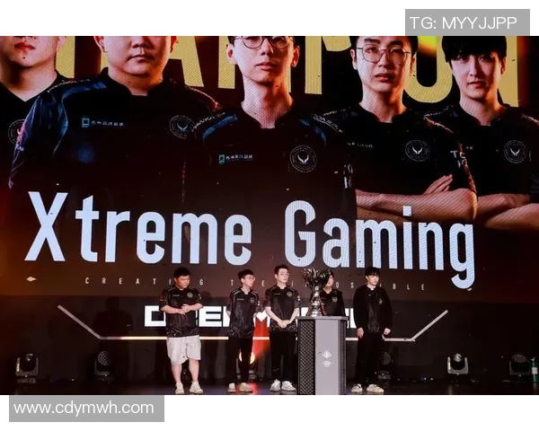 WE战队崛起之路：DOTA2赛场上的力量与团队精神探讨