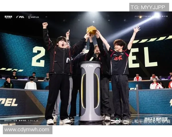 全球挑战赛分析：JDG战队在比赛中的迅猛表现与战术优势探讨