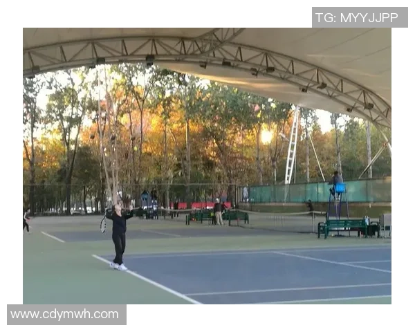 西安网球队逆袭之路揭秘：从默默无闻到大满贯荣耀的奋斗历程