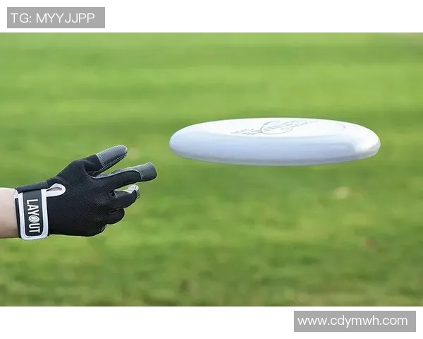 飞盘运动的魅力与挑战:深入探讨西安飞盘队的灵活性与团队合作精神 飞盘运动的魅力与挑战:深入探讨西安飞盘队的灵活性与团队合作精神