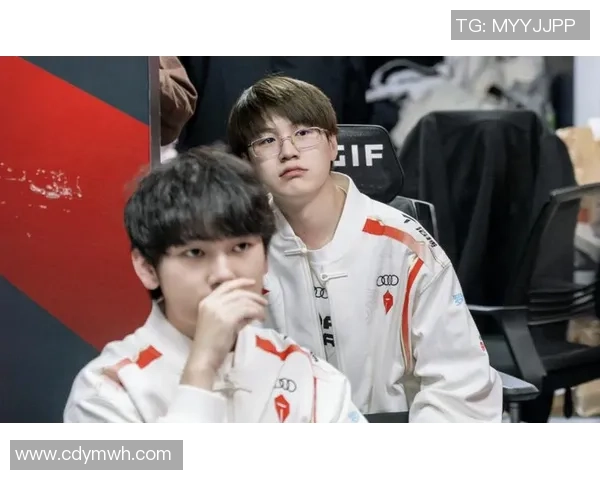 DOTA2个人能力排行榜揭晓TES战队选手表现卓越位居榜首