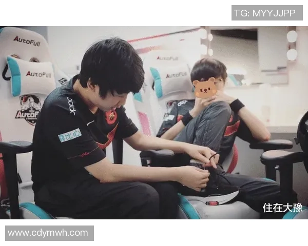 FPX战队在王者荣耀赛场上的经验革新与战术演变探讨